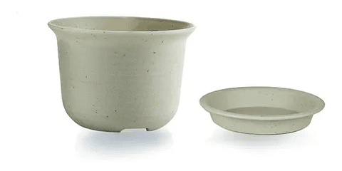 Maceta Plástica Suculentas 10.7cm Diámetro x8cm Alto Más Plato x1 unidad