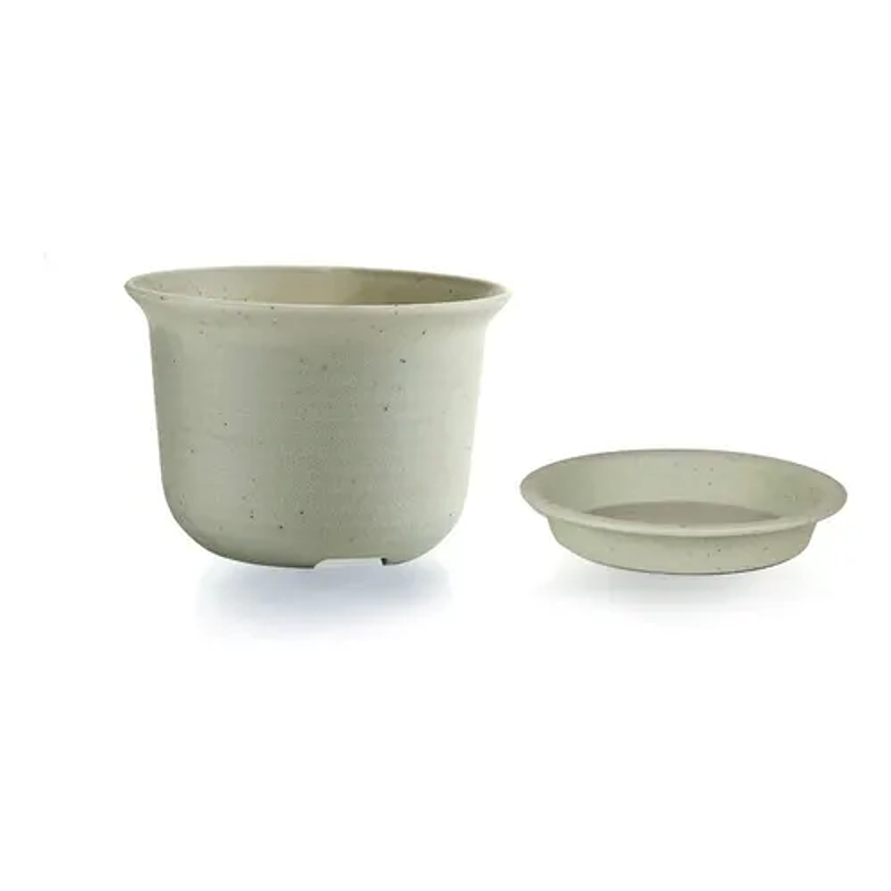 Maceta Plástica Suculentas 10.7cm Diámetro x8cm Alto Más Plato x1 unidad 1