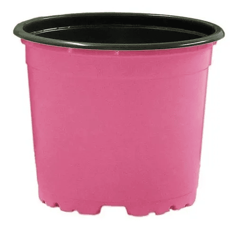 Macetas Plástica Tipo Vivero x25 Unidades 10cm Diámetro x8cm Alto