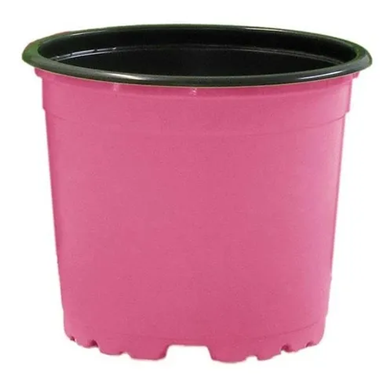 Macetas Plástica Tipo Vivero x25 Unidades 10cm Diámetro x8cm Alto 1