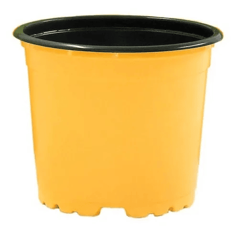 Macetas Plástica Tipo Vivero x25 Unidades 10cm Diámetro x8cm Alto