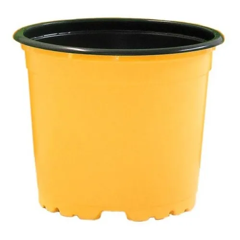 Macetas Plástica Tipo Vivero x25 Unidades 10cm Diámetro x8cm Alto 2