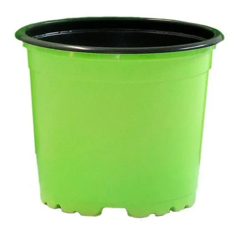 Macetas Plástica Tipo Vivero x25 Unidades 10cm Diámetro x8cm Alto 3