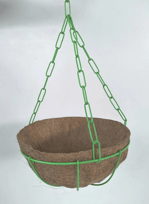 Canasta De Colgar Para Plantas Más Nido De Coco x24 Centímetros Diámetro