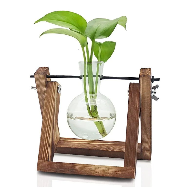 Maceta De Plantas Diseño Vintage Con Bombilla Cristal x1 Unidad 1