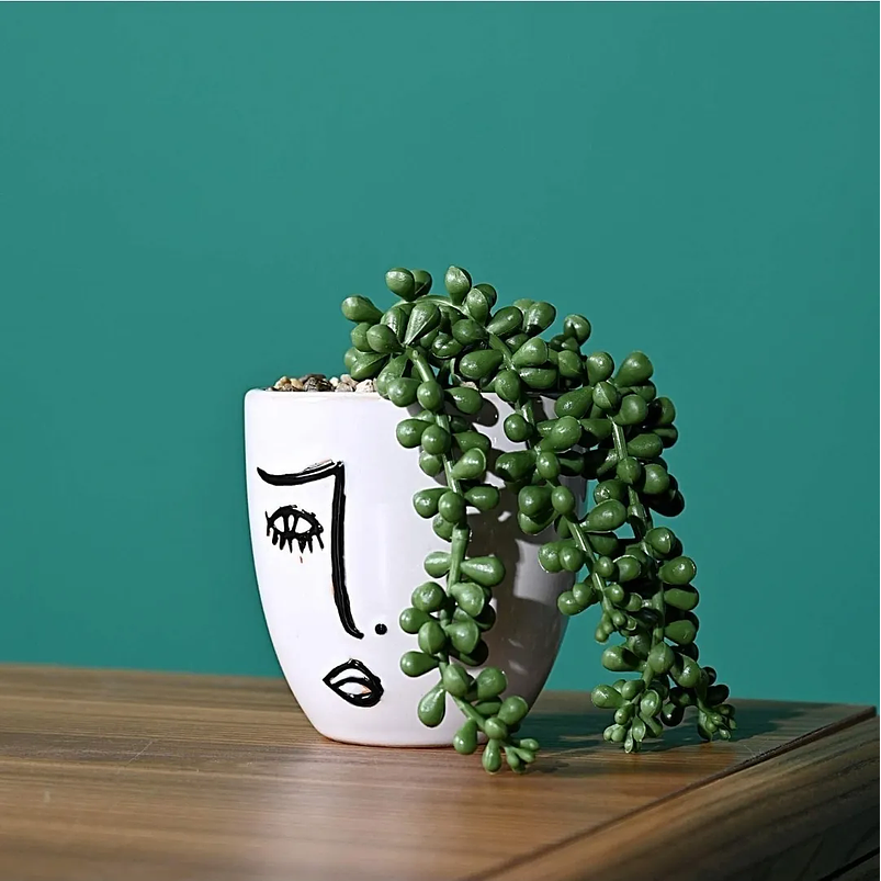 Macetas Cerámica Premium x1 Unidad 10cm Alto x9cm Diámetro Brillante 2