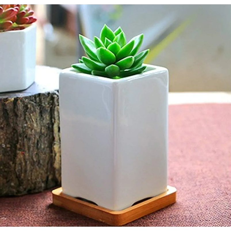 Juego De Macetas Cerámica Fina x8 Unidades Más platillo Bambú  3