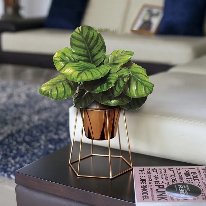 Maceta Plástica Plantas Metalizada 14cm Diámetro x12.5cm Alto 3