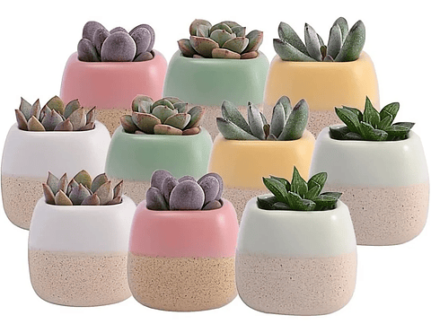 Juego Macetas x10 Unidades Cerámica Tono Pastel 6cm Diámetro x5.6cm Alto