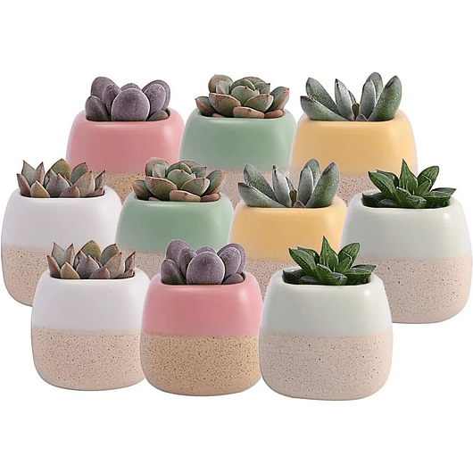 Juego Macetas x10 Unidades Cerámica Tono Pastel 6cm Diámetro x5.6cm Alto 1