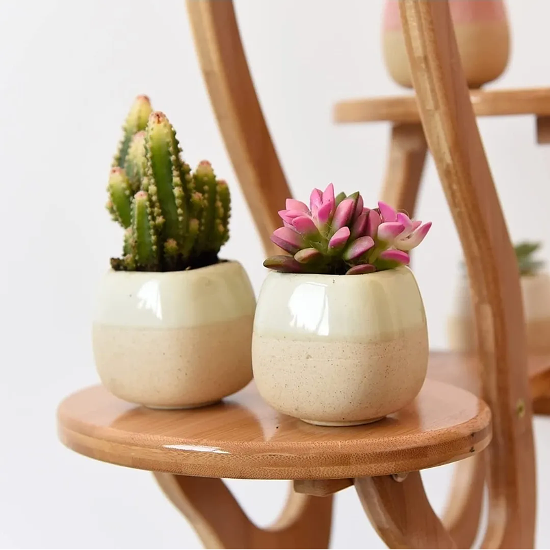 Juego Macetas x10 Unidades Cerámica Tono Pastel 6cm Diámetro x5.6cm Alto 6