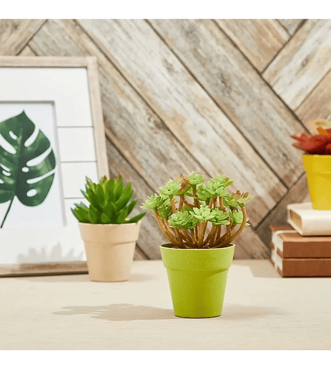 Macetas Plantas x6 Unidades Tipo Recordatorio 4cm Diámetro x6cm Alto