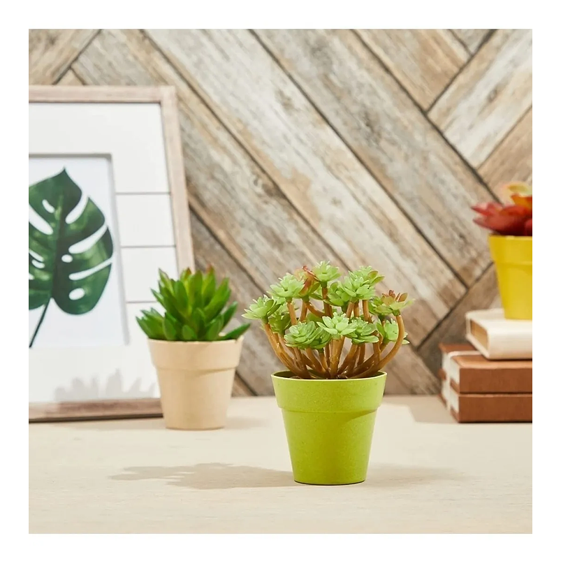 Macetas Plantas x6 Unidades Tipo Recordatorio 4cm Diámetro x6cm Alto 2