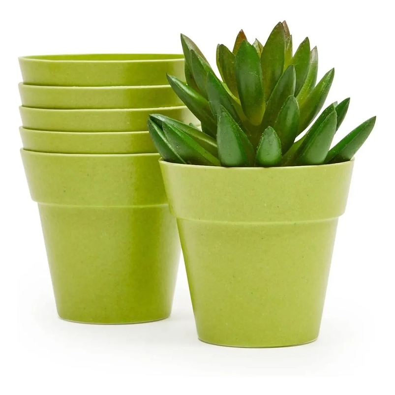 Macetas Plantas x6 Unidades Tipo Recordatorio 4cm Diámetro x6cm Alto 6