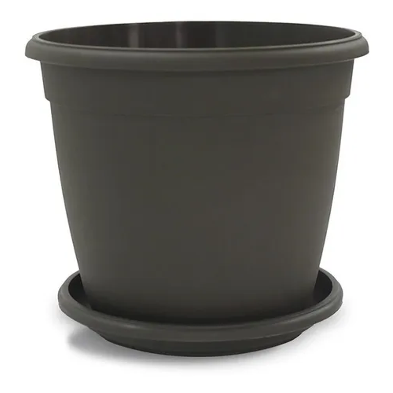 Maceta Plantas Redonda Plástica 18cm Diámetro x15cm Alto Más Plato 5