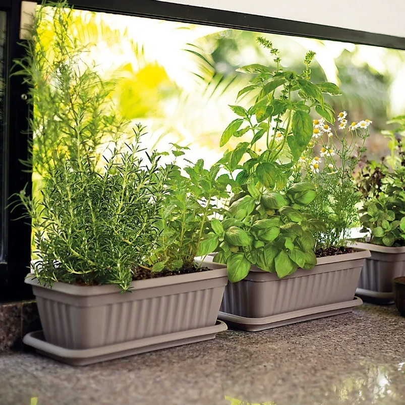 Maceta Plástica Rectangular De 45 centímetros Largo Más Plato 7