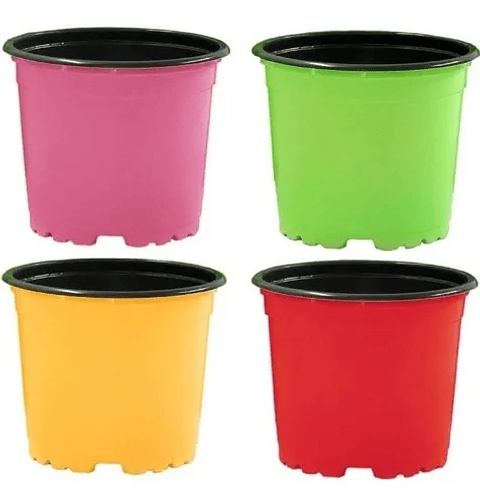 Matera Maceta Tipo Vivero Color 12cm x25 Unidades Más 25 Etiquetas