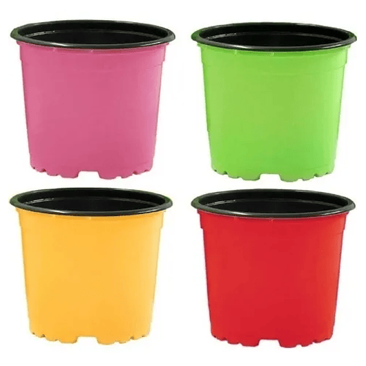 Matera Maceta Tipo Vivero Color 12cm x25 Unidades Más 25 Etiquetas 1