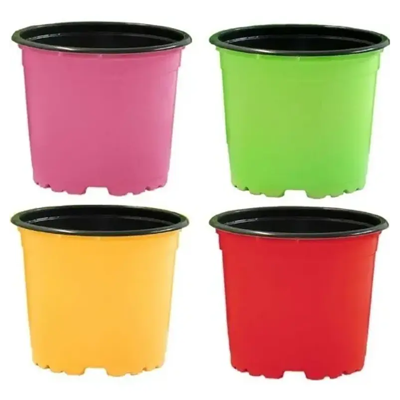 Matera Maceta Tipo Vivero Color 12cm x25 Unidades Más 25 Etiquetas 1