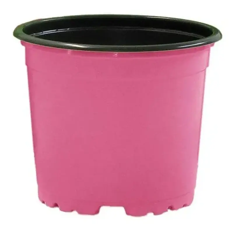 Matera Maceta Tipo Vivero Color 12cm x25 Unidades Más 25 Etiquetas 2
