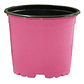 Matera Maceta Tipo Vivero Color 12cm x25 Unidades Más 25 Etiquetas - Miniatura 2
