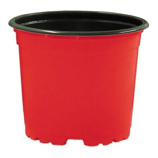 Matera Maceta Tipo Vivero Color 12cm x25 Unidades Más 25 Etiquetas 4