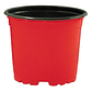 Matera Maceta Tipo Vivero Color 12cm x25 Unidades Más 25 Etiquetas - Miniatura 4