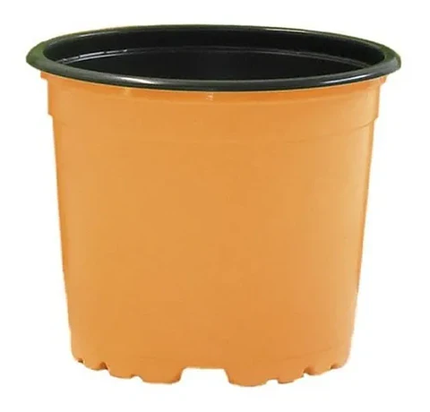 Matera Maceta Tipo Vivero Color 12cm x25 Unidades Más 25 Etiquetas
