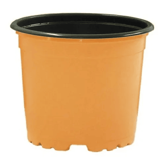 Matera Maceta Tipo Vivero Color 12cm x25 Unidades Más 25 Etiquetas 5