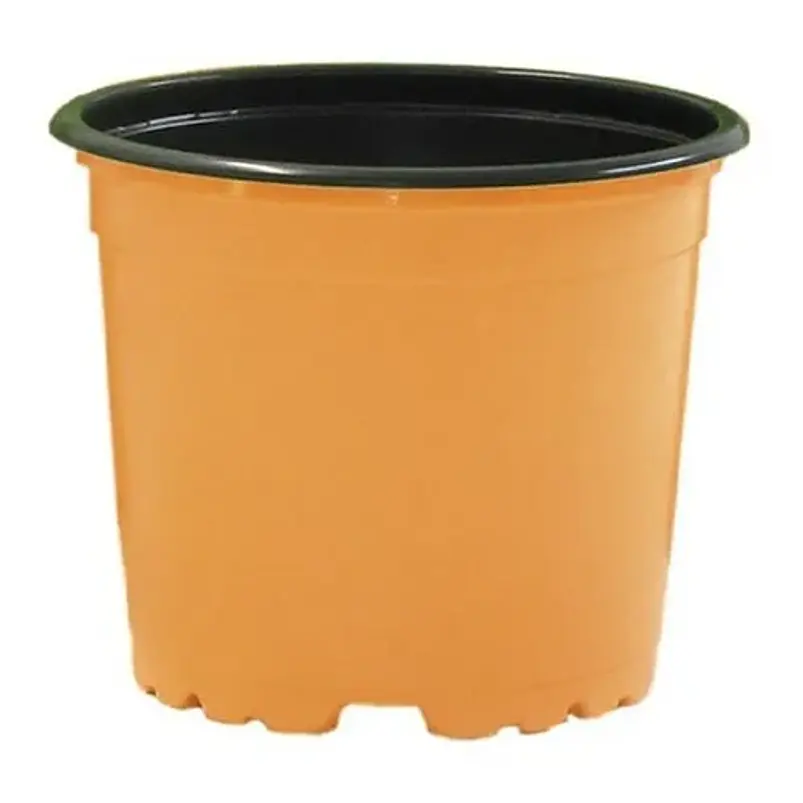 Matera Maceta Tipo Vivero Color 12cm x25 Unidades Más 25 Etiquetas 5