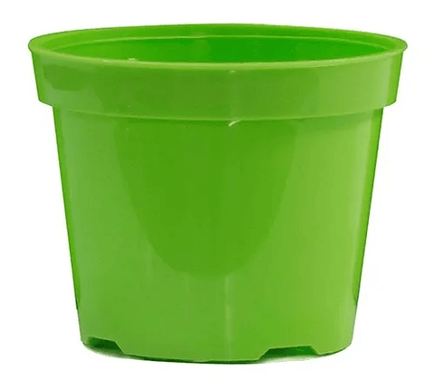 Maceta Plástica Siembra Tipo Vivero 17cm Diámetro x14cm Alto