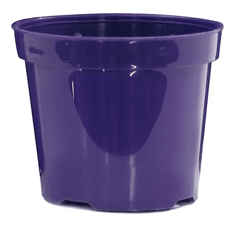 Maceta Plástica Siembra Tipo Vivero 17cm Diámetro x14cm Alto