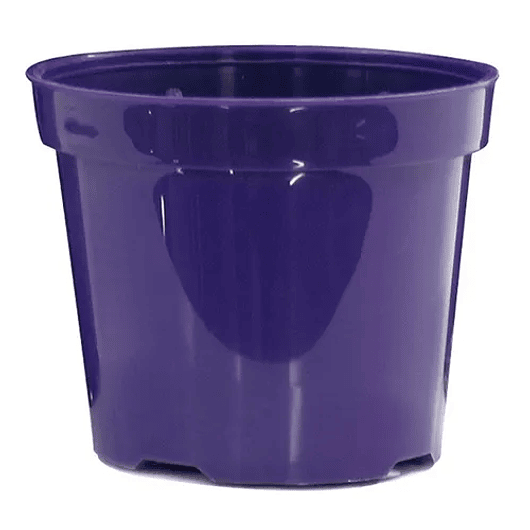 Maceta Plástica Siembra Tipo Vivero 17cm Diámetro x14cm Alto 2