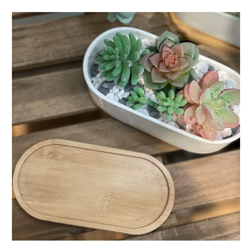Maceta Cerámica Ovalada Premium Suculentas Más plato Bambú 2