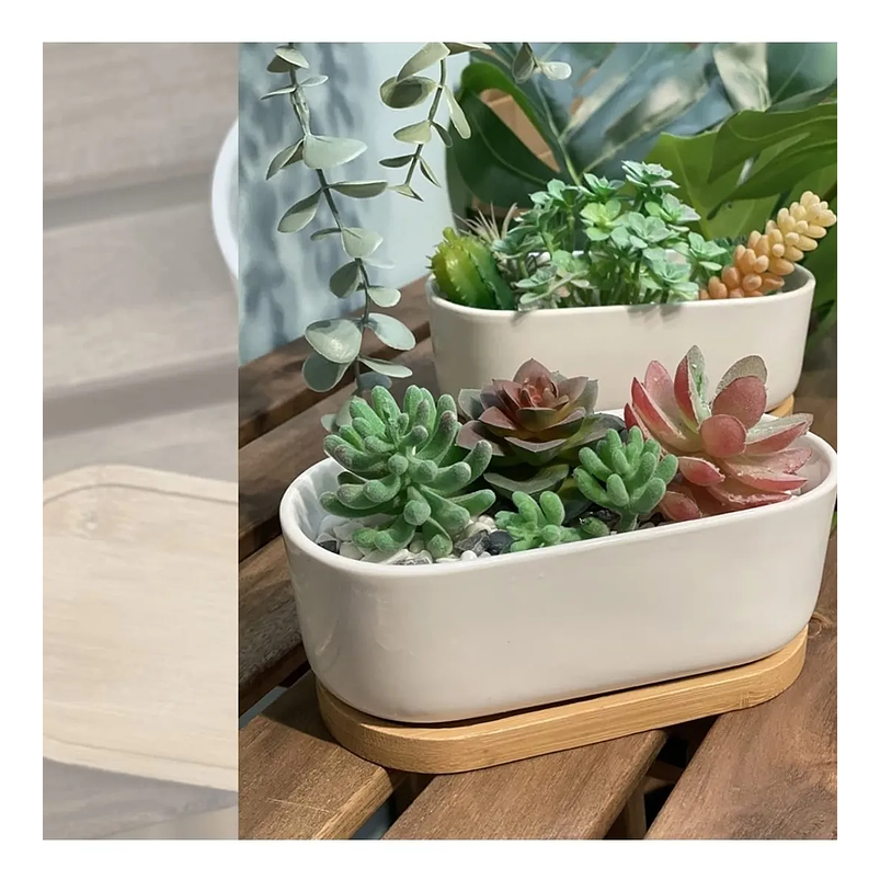 Maceta Cerámica Ovalada Premium Suculentas Más plato Bambú 4