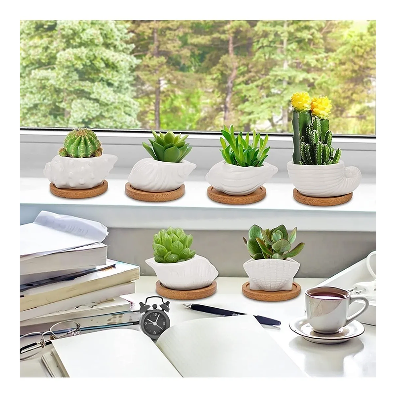 Juego De Macetas x6 Cerámica Conchas De Mar Más Plato En Bambú 2