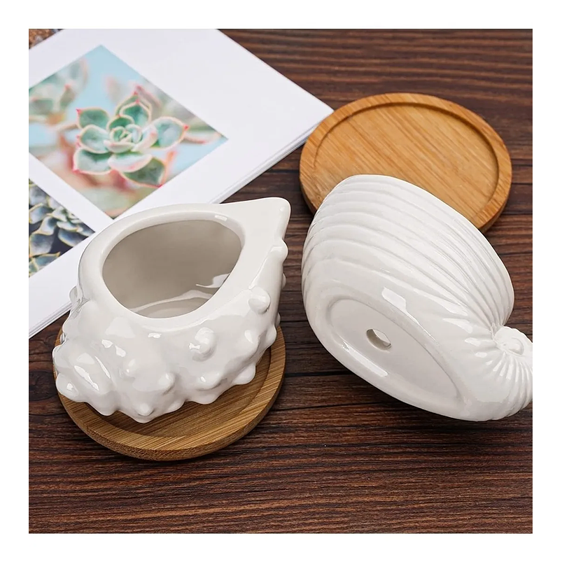 Juego De Macetas x6 Cerámica Conchas De Mar Más Plato En Bambú 5