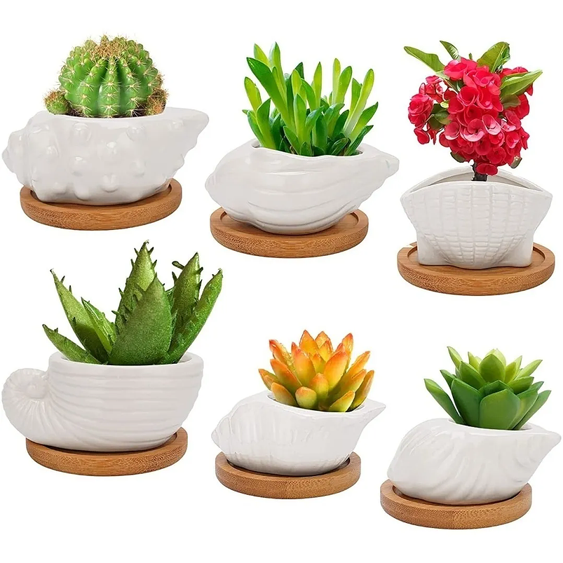 Juego De Macetas x6 Cerámica Conchas De Mar Más Plato En Bambú 1