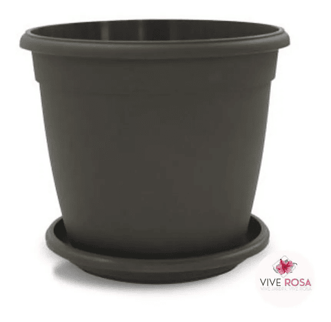 Maceta Plantas Redonda Plástica 14cm Diámetro x12cm Alto Más plato