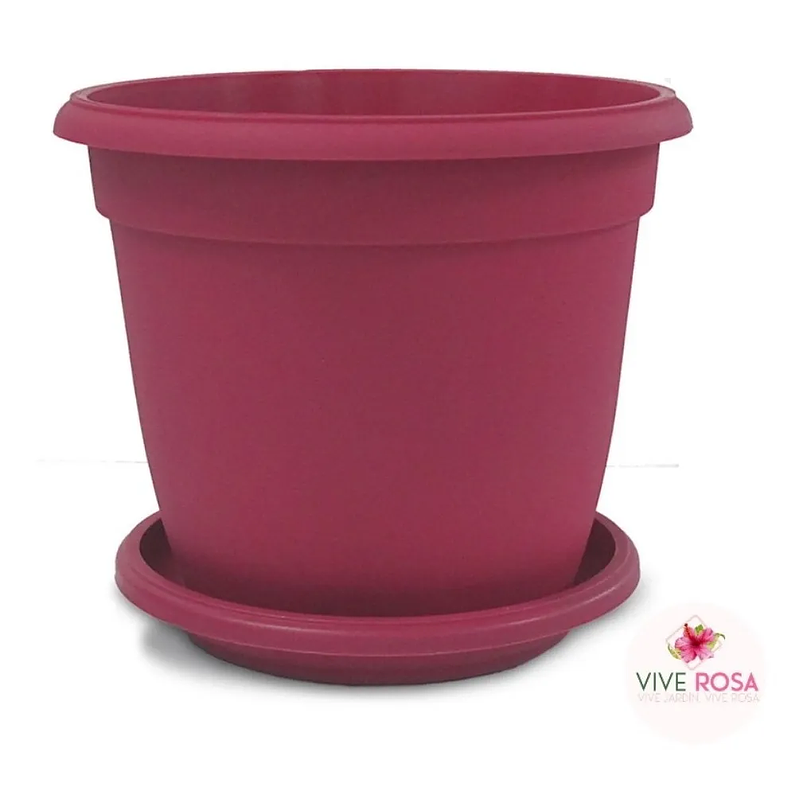 Maceta Plantas Redonda Plástica 14cm Diámetro x12cm Alto Más plato 3