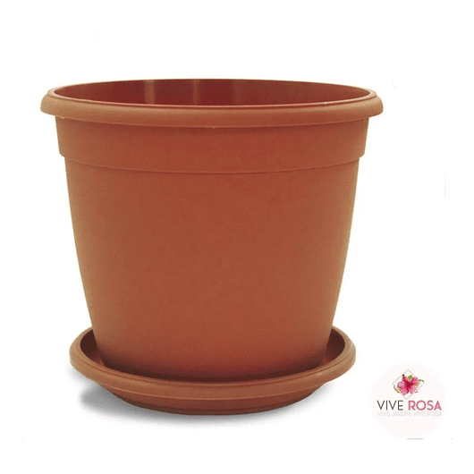 Maceta Plantas Redonda Plástica 14cm Diámetro x12cm Alto Más plato 6