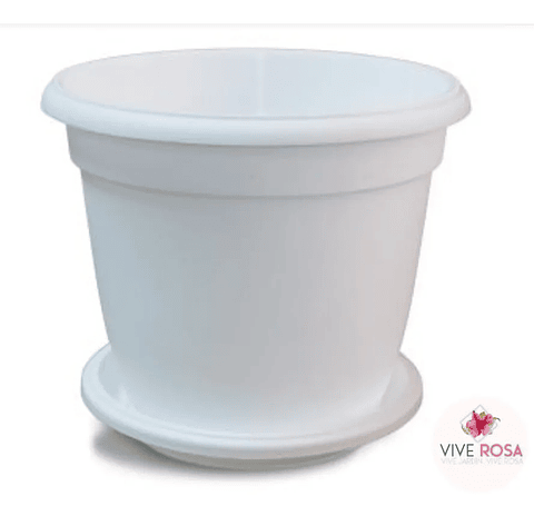 Maceta Plantas Redonda Plástica 31cm Diámetro x28cm Alto Más Plato