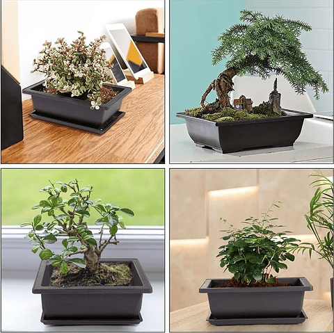 Maceta Plástica Bonsái 16cm Largo x12cm Rectangular Más plato 