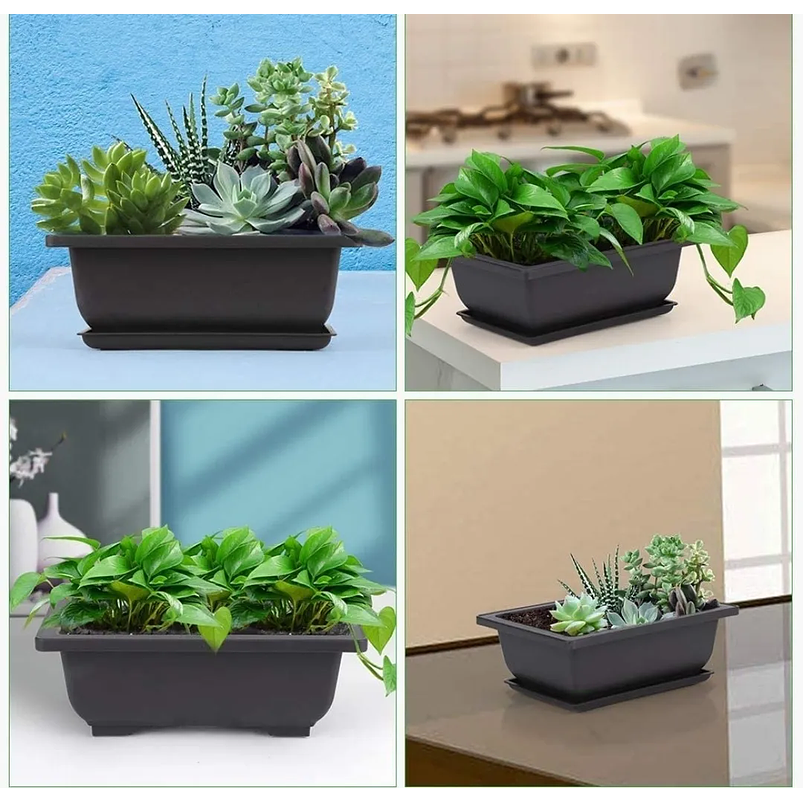 Maceta Plástica Bonsái 16cm Largo x12cm Rectangular Más plato  3