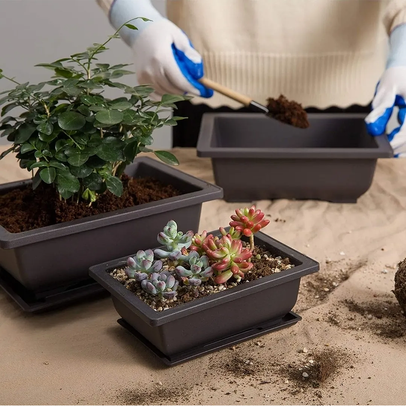 Maceta Plástica Bonsái 16cm Largo x12cm Rectangular Más plato  4