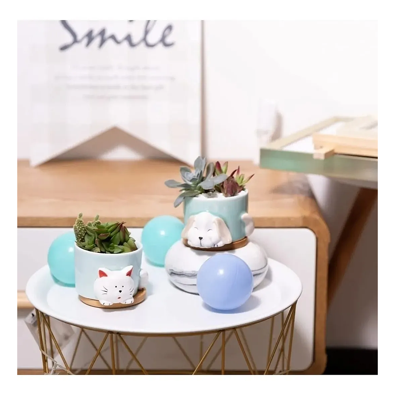 Juego Macetas x4 Cerámica Fina Diseño Animalitos Más plato Bambú 3