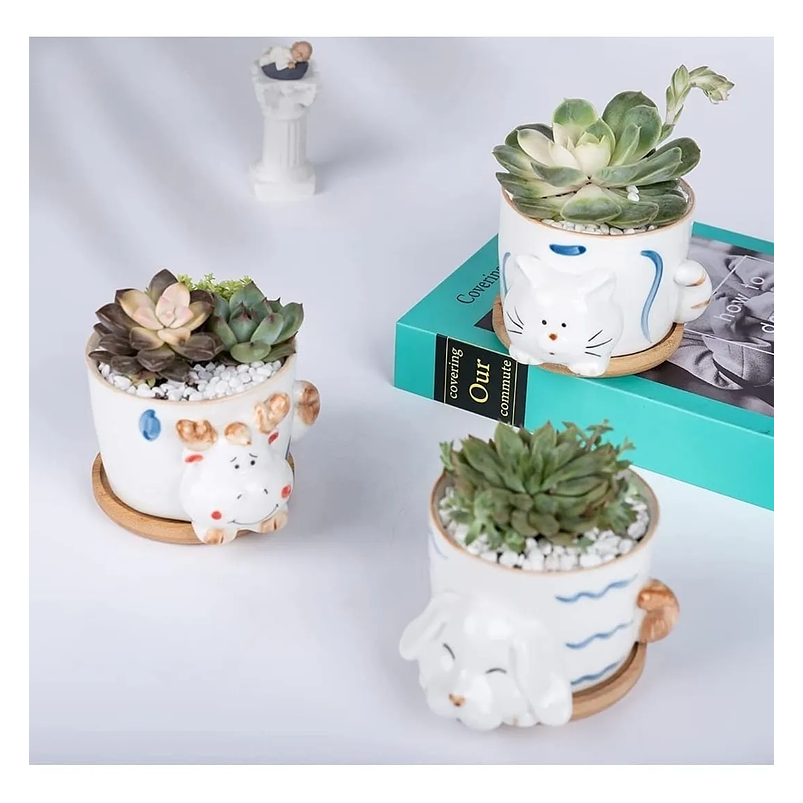 Juego Macetas x4 Cerámica Fina Diseño Animalitos Más plato Bambú 4