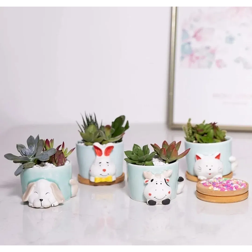 Juego Macetas x4 Cerámica Fina Diseño Animalitos Más plato Bambú 2