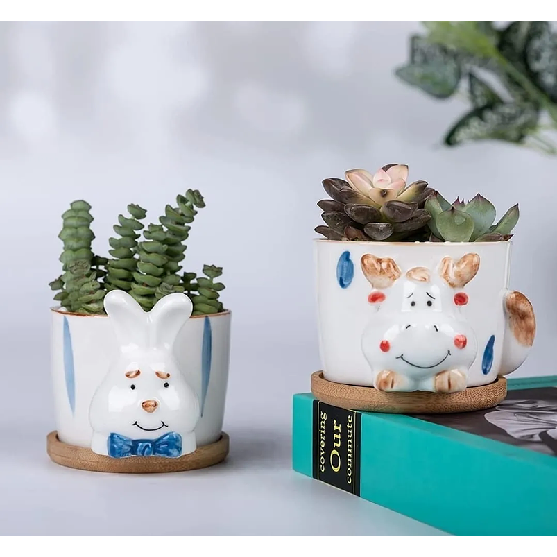 Juego Macetas x4 Cerámica Fina Diseño Animalitos Más plato Bambú 5