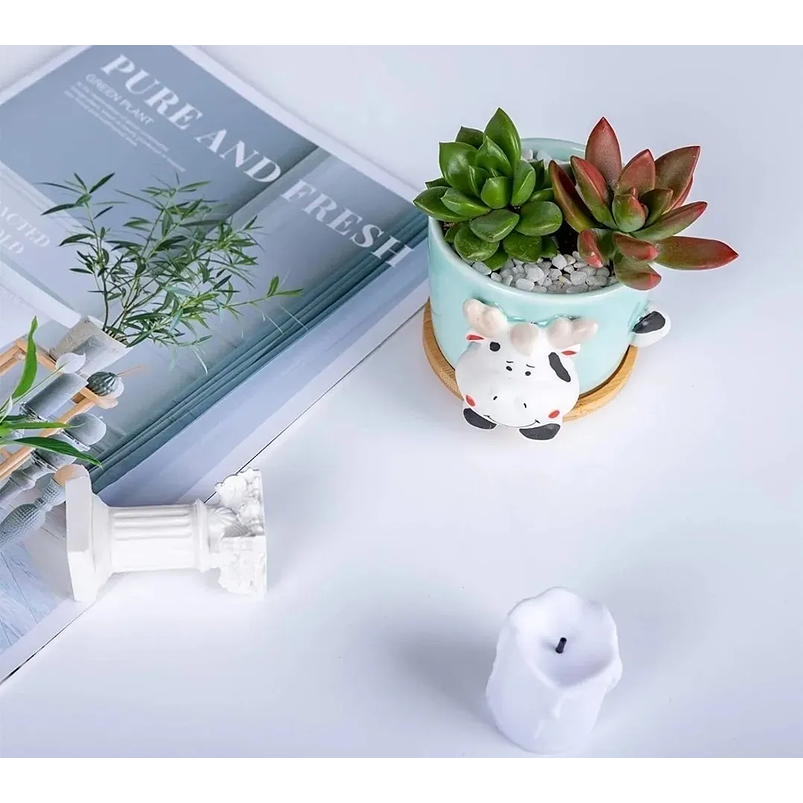 Juego Macetas x4 Cerámica Fina Diseño Animalitos Más plato Bambú 7